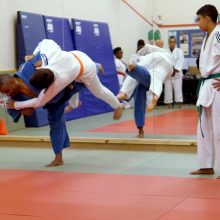 Uchimata Throw